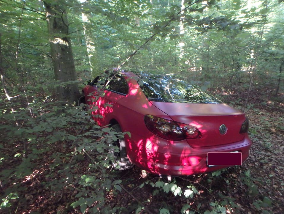 Erst der Aufprall gegen einen Baum im angrenzenden Wald stoppte das Auto.