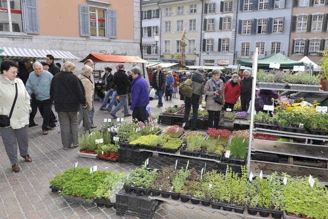 Solothurner Märet am Samstag - Bürger sollen laut Regierung vermehrt regionale Produkte kaufen.