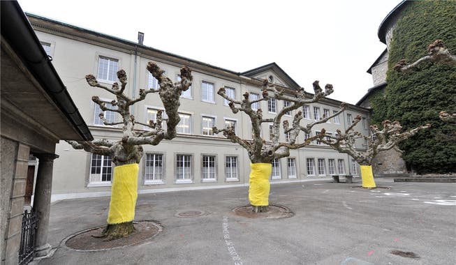 Tatort: Der Pausenhof des Schulhaus Kollegium Solothurn. Hier kam es an der Fasnacht 2010 zur versuchten vorsätzlichen Tötung.(Archiv)