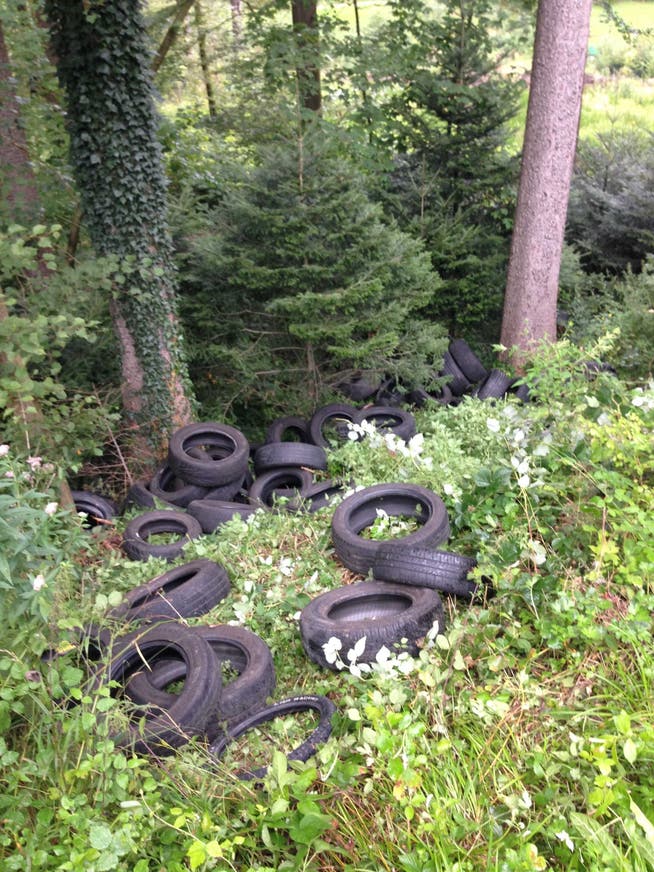 Im Dulliker Wald entsorgte Reifen