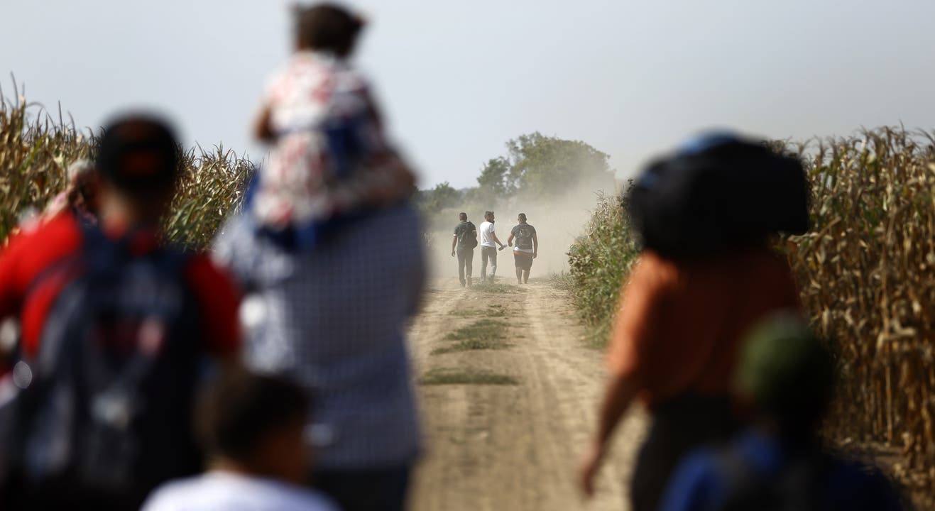 Flüchtlinge an der Grenze zwischen Serbien und Kroatien in der Nähe von Tovarnik.