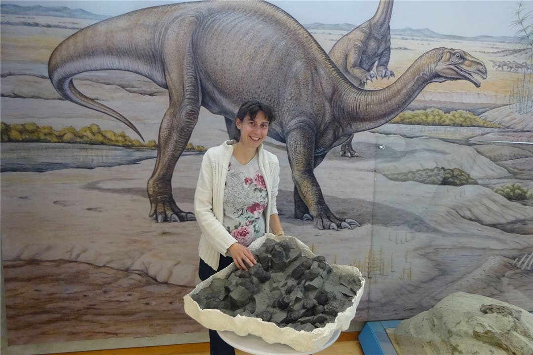 Fricktaler Aprilscherz: Museumsleiterin Andrea Oettl präsentiert ein gefälschtes Gelege mit Dinosaurier-Eiern.