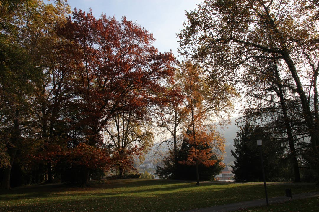 Herbstimpressionen aus Baden