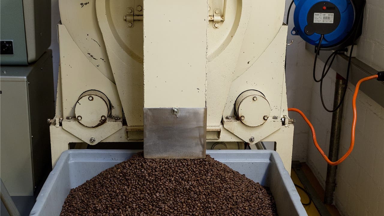 Durch eine Röhre gelangen die gerösteten Kaffeebohnen aus dem Kühlsieb der Röstmaschine in den Verpackungsraum.