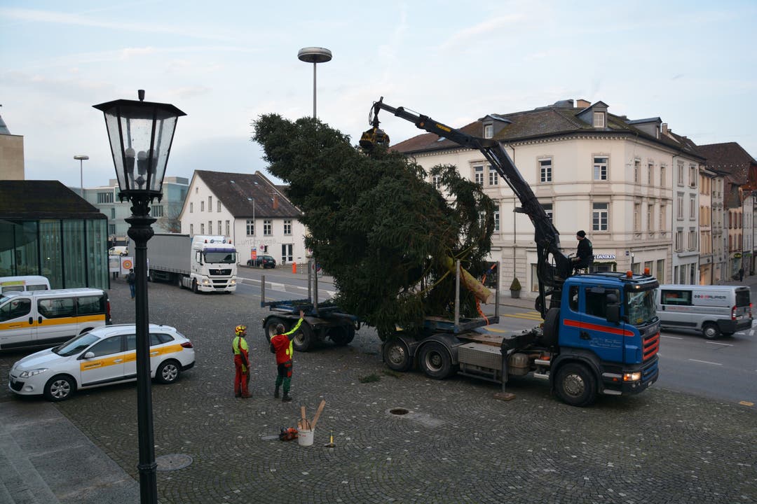 Der Aarauer Christbaum steht wieder auf dem Aargauerplatz