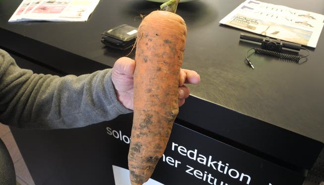 Der Hobby-Gärtner zeigt uns die 940 Gramm schwere Karotte.