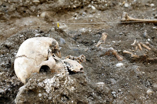 2012 wurden auf einer Baustelle in Feldbrunnen diese Überreste von enthaupteten Hingerichteten gefunden.