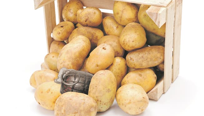 Eine Kartoffel-Lieferung aus Frankreich sorgte für Aufregung.