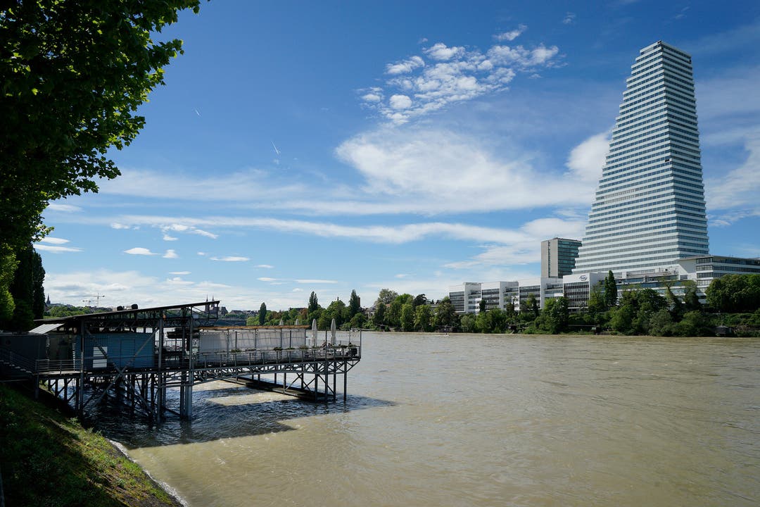 Die Hochwasser-Situation am Rhein
