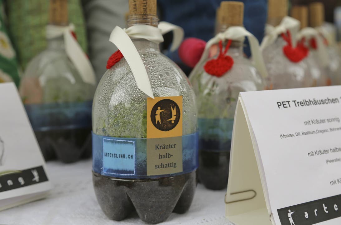 Upcycling 2: Aus PET-Flaschen werden Mini-Gewächshäuser für Kräuter und Sprossen.