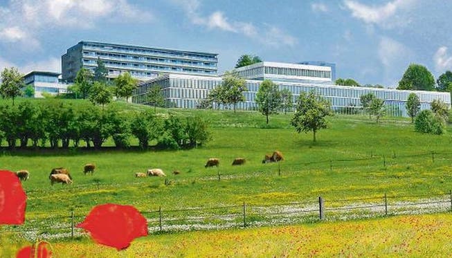 So soll sich die Rehaklinik Bellikon nach dem Um- und Ausbau ab Ende 2017 präsentieren – Blick hinauf vom Reusstal. ZVG