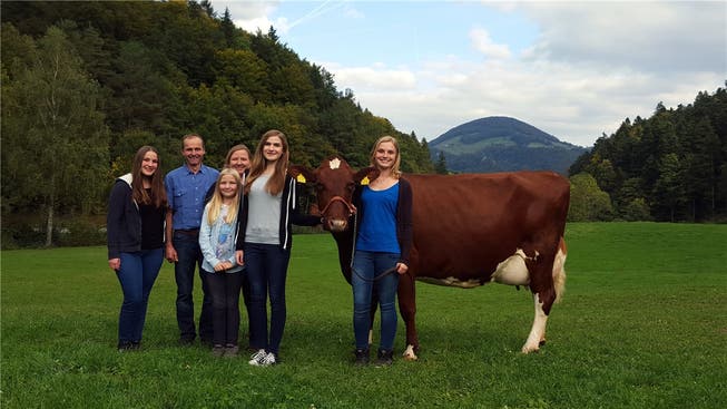 Bereit für die Viehschau (v.l.): Katja, Kurt, Mariella, Antonia, Daniela und Fabienne Kamber mit Kuh Alicia.