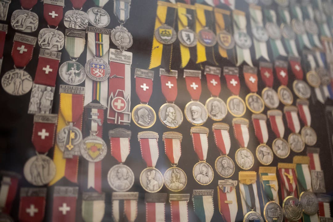 Medaillen und Trophäen sind in Reih und Glied in einer Vitrine ausgestellt.