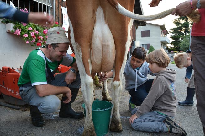Eine Kuh von Hand melken ist etwas, das bei uns hie und da etwa beim Ferienpass möglich ist.