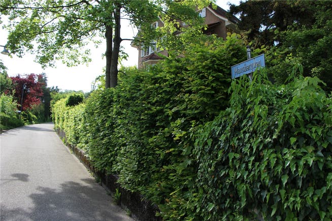 Der Mansbergweg führt vom «Falken» steil hinauf zum «Stein», wie die Burg damals kurz genannt wurde.