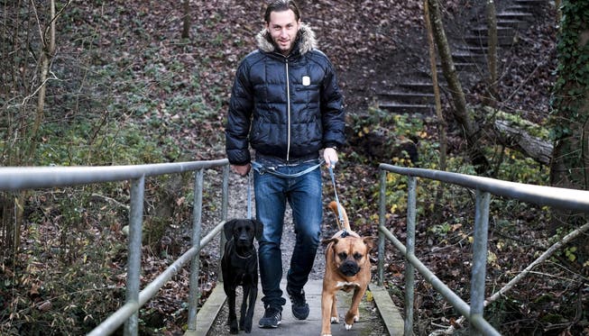«Hier kann ich abschalten und nachdenken»: Fabian Stoller beim Spaziergang mit seinen beiden Rüden Lio (r.) und Nino im Aarschächli in Rohr.