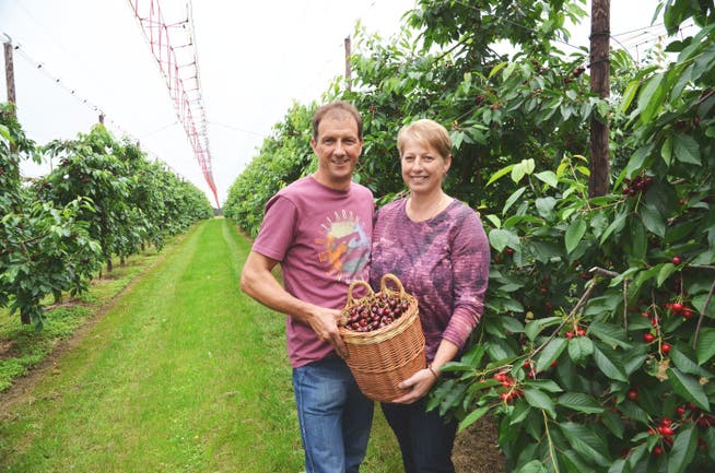 Paul und Ruth Müller-Villiger wurden für ihre hervorragenden Kirschen vom Verband Aargauer Obstproduzenten ausgezeichnet.