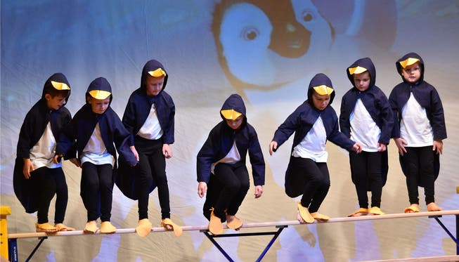 Die Kitu-Gruppe als Pinguin-Dressur. Springen oder nicht?