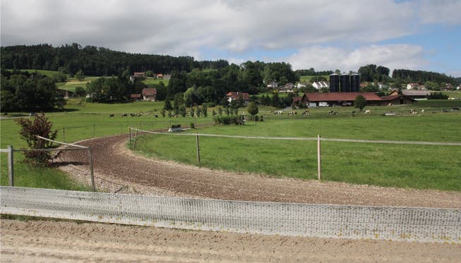 Die 460 respektive 800 Meter langen Trainingsbahnen für Galopprennpferde im unteren Lenz sind zonenwidrig.