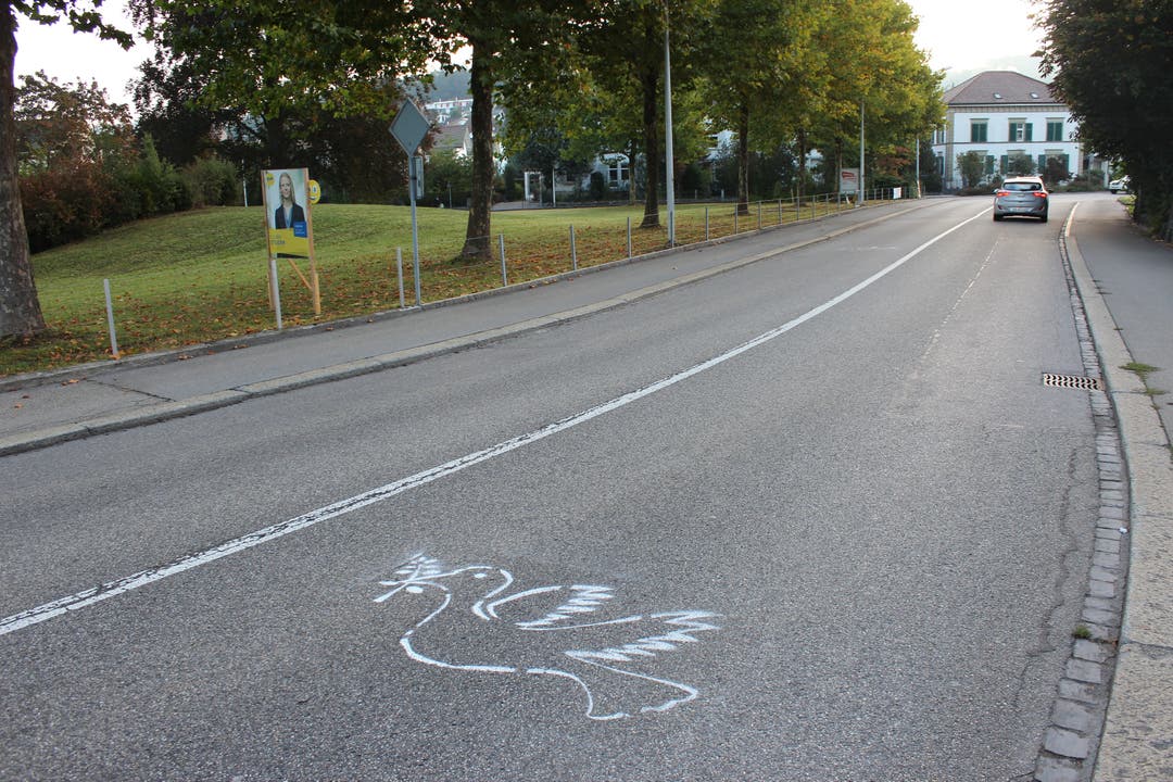 DIe Friedentauben befinden sich auf der General-Guisan-Strasse in Zofingen.
