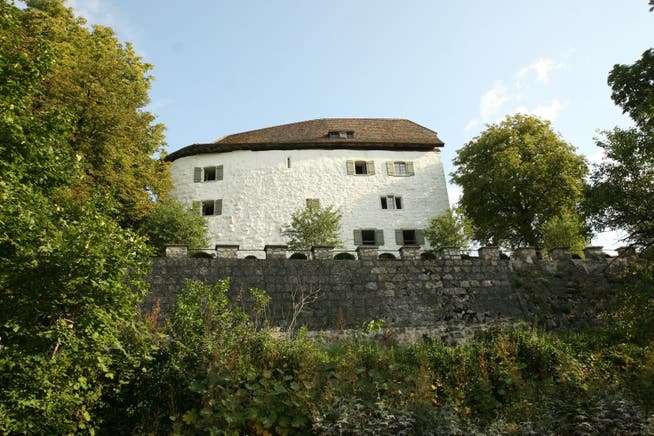 Zum Schloss Brunegg gehörte schon früher einmal ein Rebberg