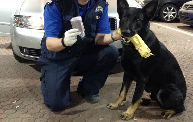 Der Basler Polizeihund Jack mit seinem Fund.