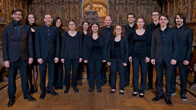 Der Chor «Vocalino Wettingen» besteht aus Laiensängern und versteht sich als Ehemaligenchor der Kantonsschule Wettingen.
