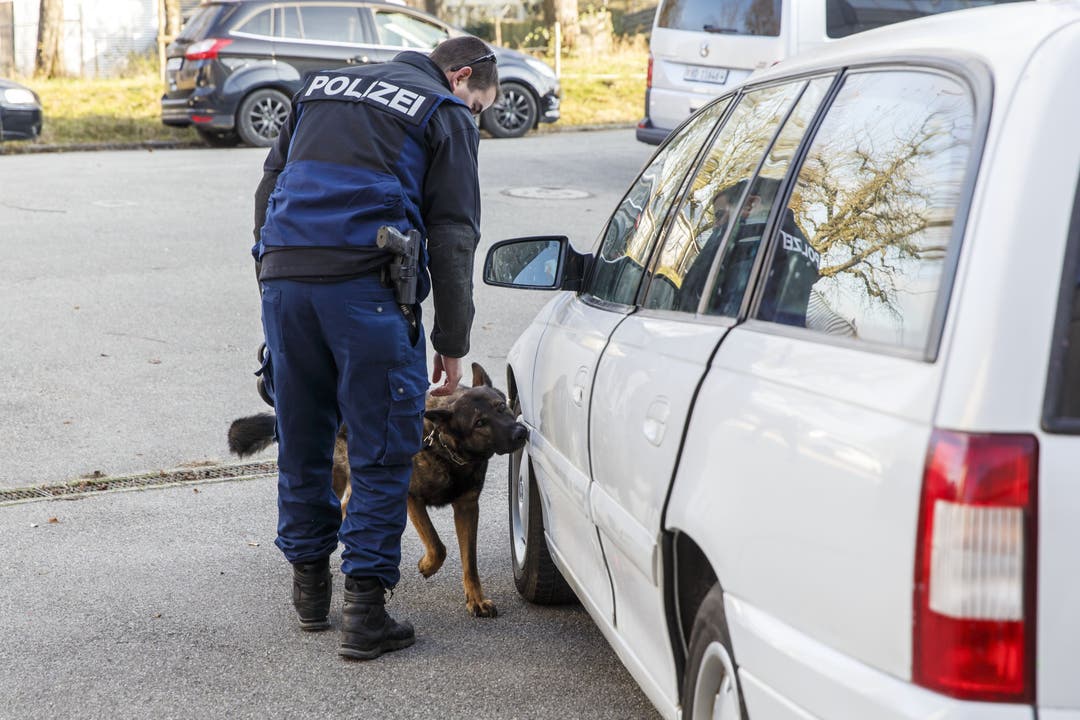 Solothurner Drogenspürhunde im Training