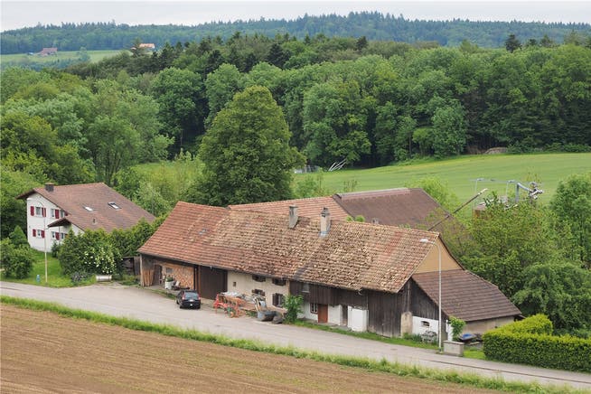 Auf diesem Bauernhof in Boningen fanden Polizei und Veterinärdienst des Kantons Solothurn 15 tote Rinder.