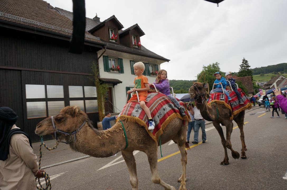 Kamelreiten am Rebbluetenfest in Weiningen