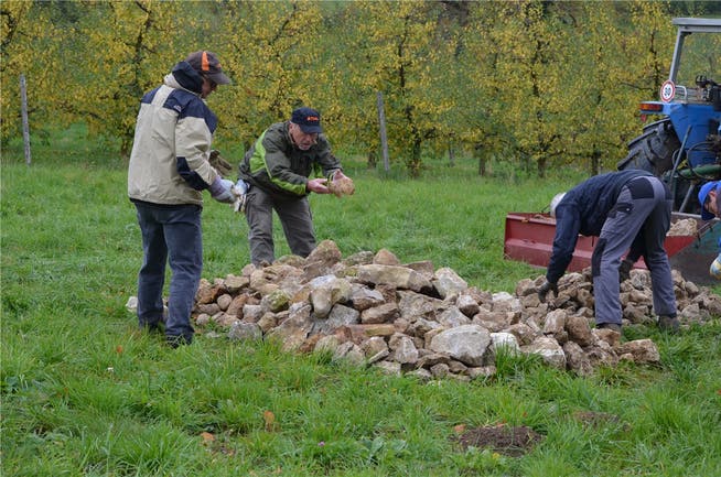 Ein klassischer Naturschutzeinsatz: BNV-Mitglieder legen in Zeglingen einen Steinhaufen als Unterschlupf für Wiesel an. Hier sähe der BNV künftig gerne auch Junge.