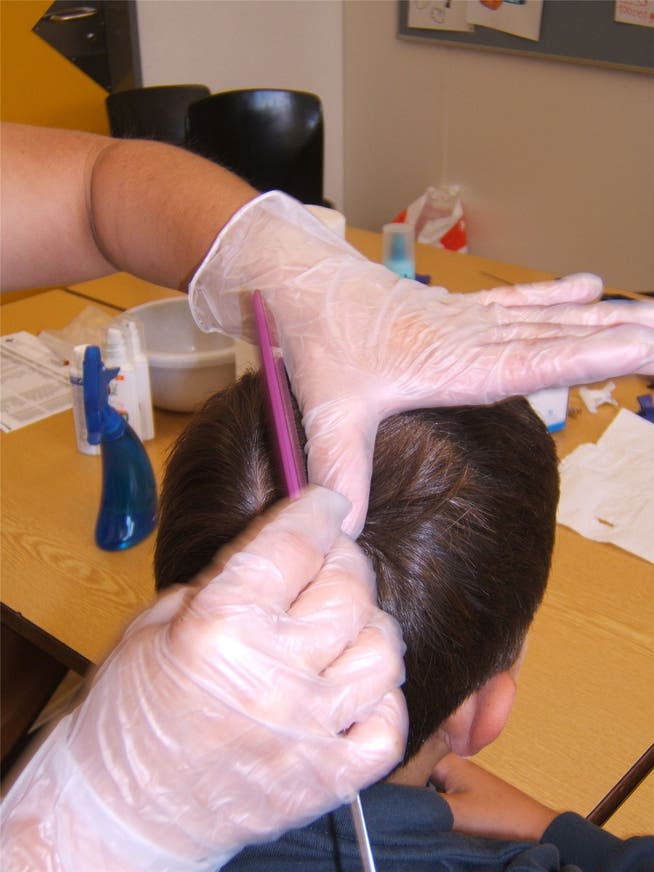 In den meisten Schulen kommen Fachpersonen dann zum Einsatz, wenn Kopfläuse bereits gemeldet wurden.sz-Archiv