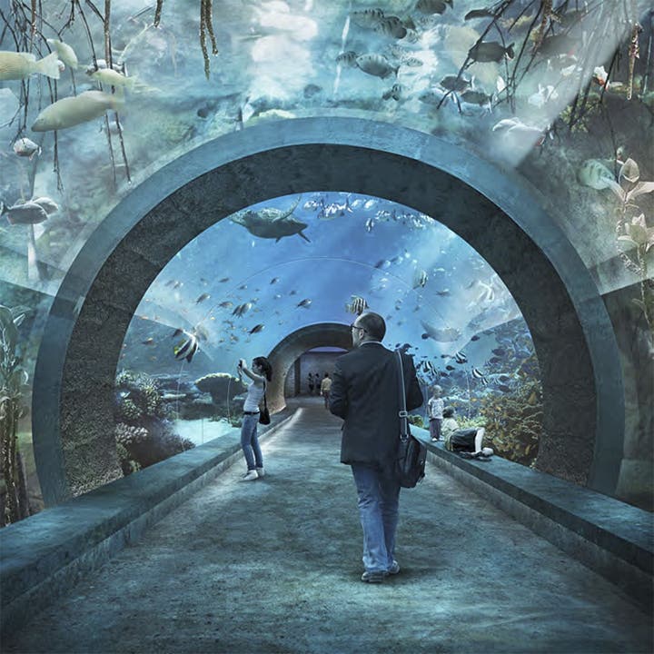 Ozeanium des Zolli Basel: Das Projekt «Seacliff» hat den Architekturwettbewerb gewonnen.