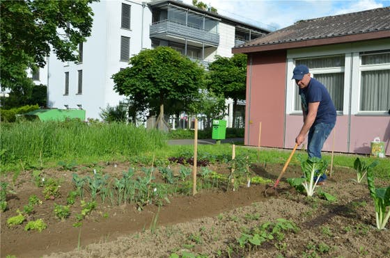 Dieser Garten Uberwindet Alle Grenzen Luzerner Zeitung