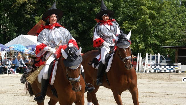 Ein «Mini-Tag des Pferdes» fand 2009 in Bettlach statt.