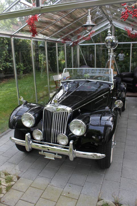 Ein weiteres Bijou - Jaguar 1954