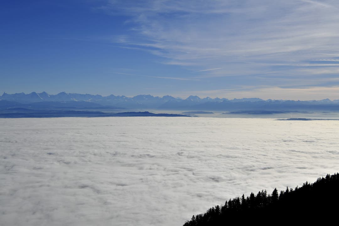 Ein Nebelmeer erstreckt sich vom Jurasüdfuss bis zu den Voralpen und Alpen. Man könnte meinen, darauf hinüberlaufen zu können.