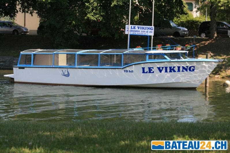 Die MS Viking im Wasser