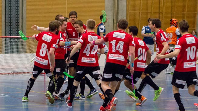 Überraschung in der Unihockey 1. Liga: Basel Regio schlägt im PO-Viertelfinal mit Deitingen den Tabellendritten.