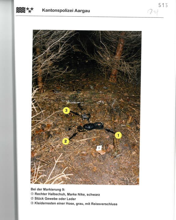 Die Fundstelle der Leichenteile Ausriss aus dem Rapport der Kantonspolizei Aargau. Das Foto zeigt die Fundstelle. Knochen, Stofffetzen und ein Schuh lagen über mehrere Quadratmeter verteilt. Tiere müssen den Leichnam über die Zeit verschleppt haben.