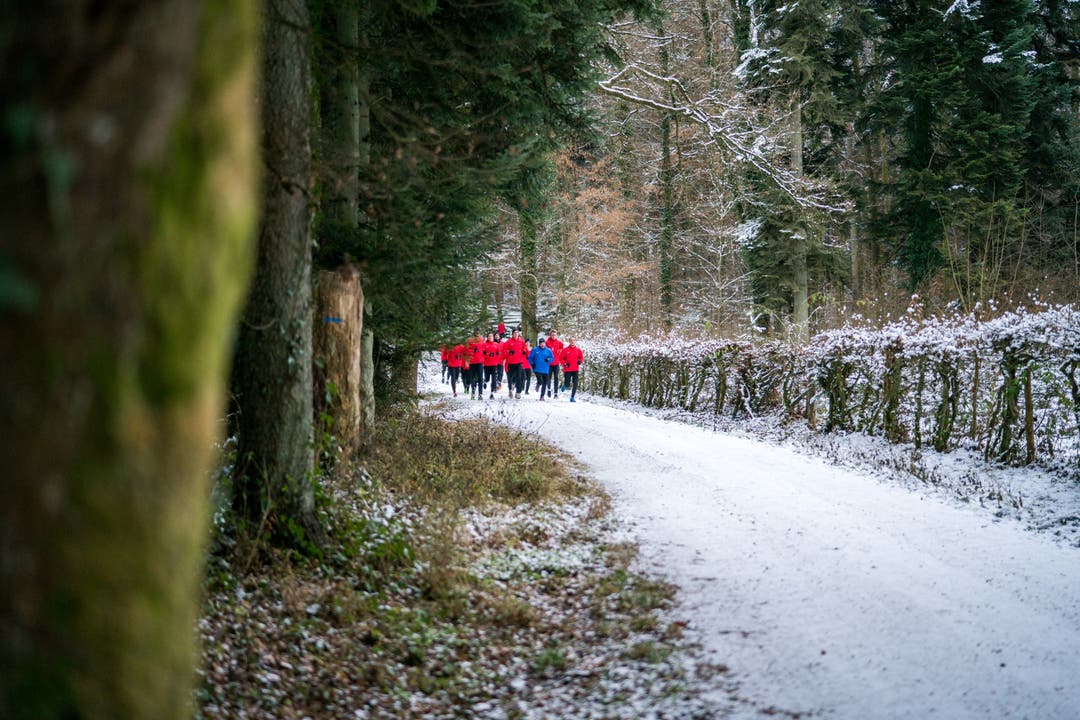 Der Waldlauf des FC Aarau in winterlich idyllischer Umgebung