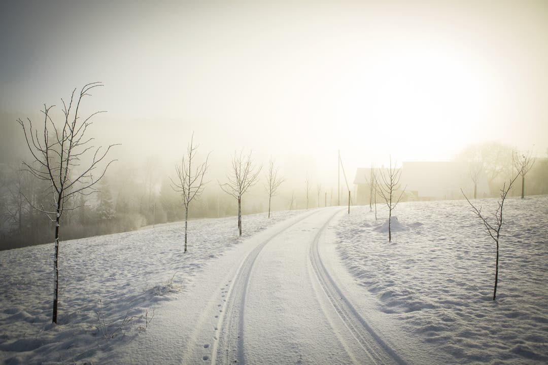 Winter (und Nebel) in der Gemeinde Schiltwald im Ruederthal AG. Chris Iseli
