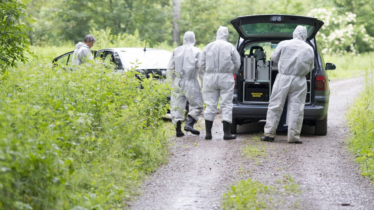 Im Wald von Fislisbach AG ist am Dienstagabend ein 18-jähriger Schweizer umgebracht worden. - Das Bild zeigt die Spurensicherung bei der Arbeit am Mittwochmorgen.