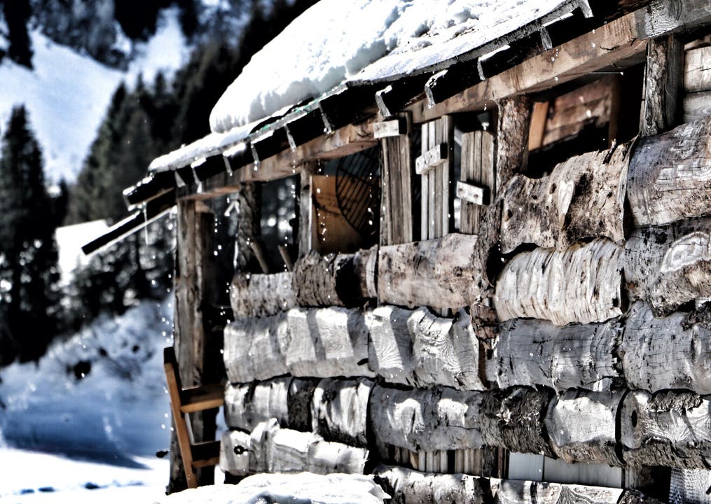 undefined Holzhütte im Hoch Ybrig. Die Mittagssonne lässt den Schnee auf dem Dach schmelzen.