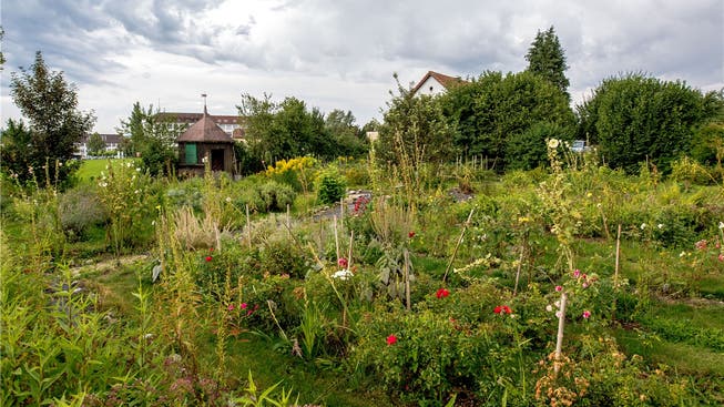 Der ehemalige, traditionelle Bauerngarten des Rosegghofs ist heute Blumen-, Kräuter- und Beeren- garten. Zwischen den Kulturen hat Ursula Riggenbach Rasen gesät. So kann das Unkraut in Schach gehalten werden.