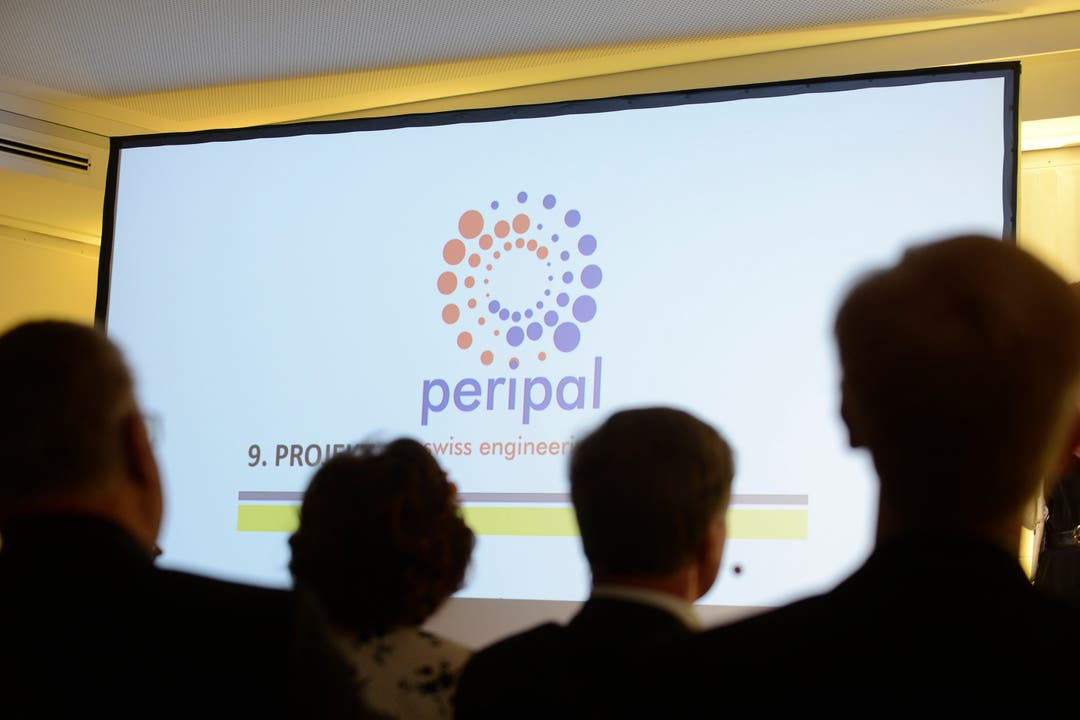 Präsentation der Peripal AG
