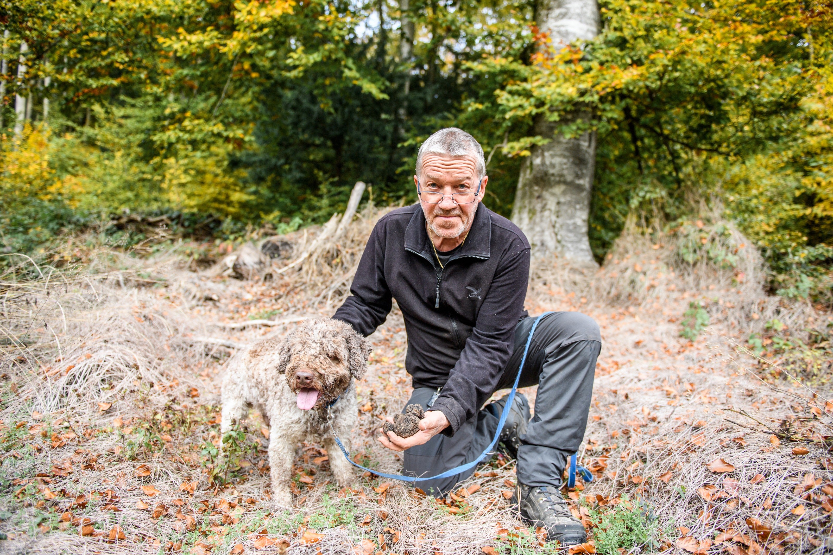 Auf Trüffelsuche - Der Hund mit der richtigen Spürnase