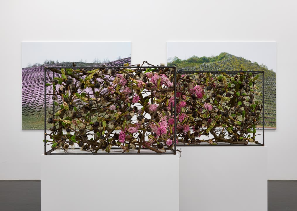 Florale Interpretation von Heidi Bisang und Anna Heuer, Solothurn zum Werk von Thomas Flechtner, Higashi-Mokoto, 2004