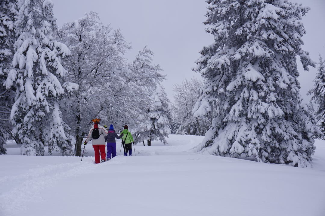 Grenchen Tourismus hat Schneeschuh-Wanderwegrouten markiert