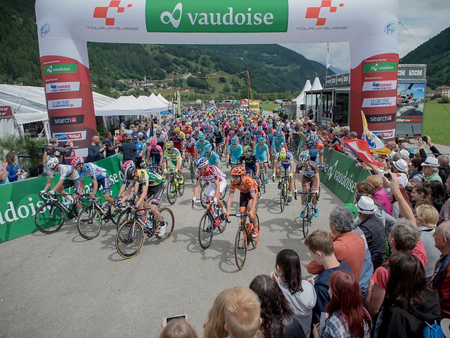 Das Feld beim Start zur letztjährigen Tour-de-Suisse-Etappe in Quinto